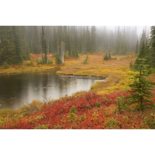 WA, Mount Rainier NP Fall-colored meadow